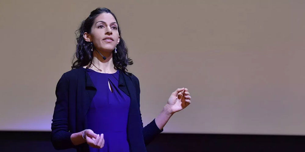 Dina Pestonji Web Audit